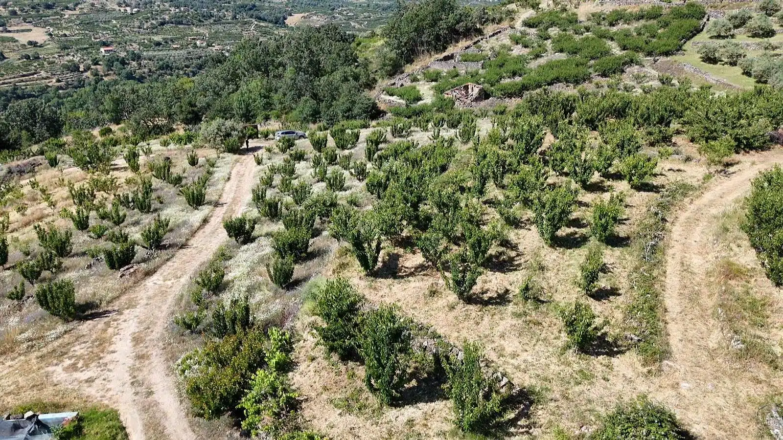 Terreni e lotti in vendita a Urbanizacion el Pajarejo, imagen 26