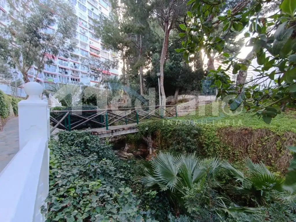 Jardín de Estudio en venta en Benidorm con Jardín privado, Piscina y Piscina comunitaria