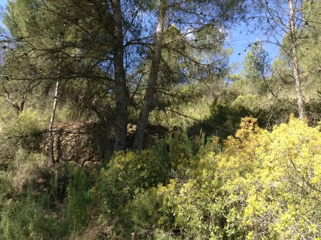 Terreni e lotti in vendita a Arens de Lledó, imagen 3