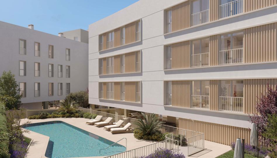 Photo 0 of Promotion AGORA