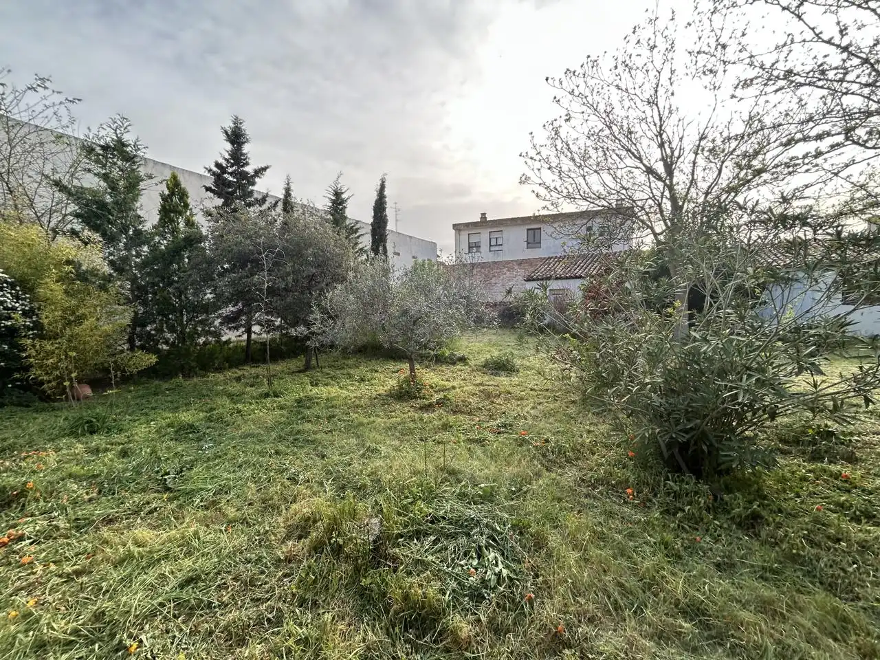 Casa o xalet en venda en Cascante amb Calefacció, Jardí privat i Traster