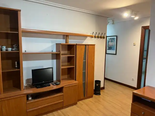 Sala d'estar de Apartament de lloguer en Oviedo  amb Calefacció, Parquet i Moblat