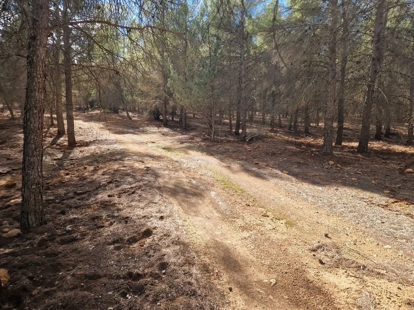 Rural land for sale in Pantano de Peñarroya 0, imagen 47