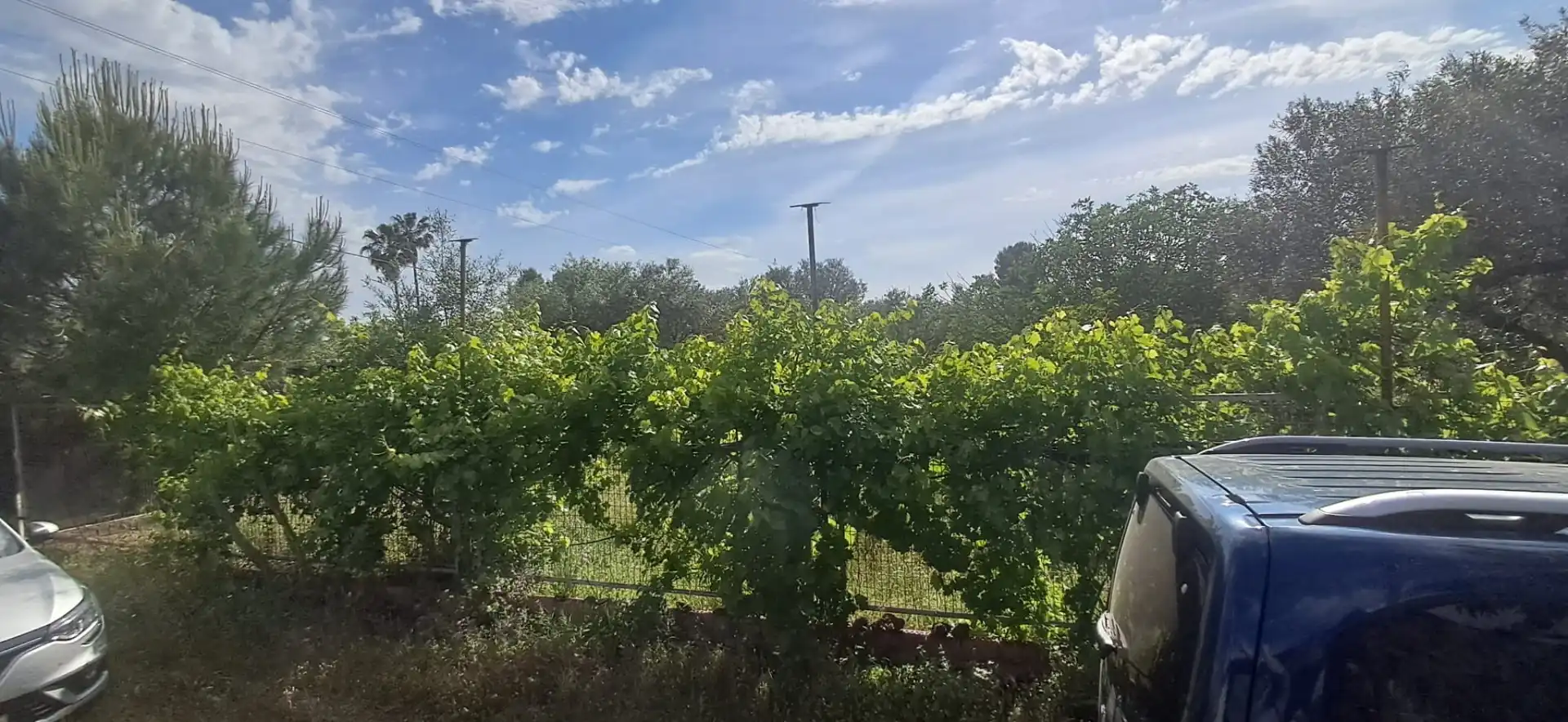 Casa o chalet en venta en Utrera