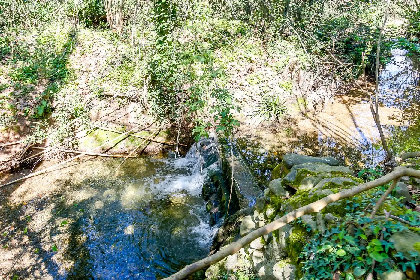 Vista exterior de Finca rústica en venta en Sant Antoni de Vilamajor