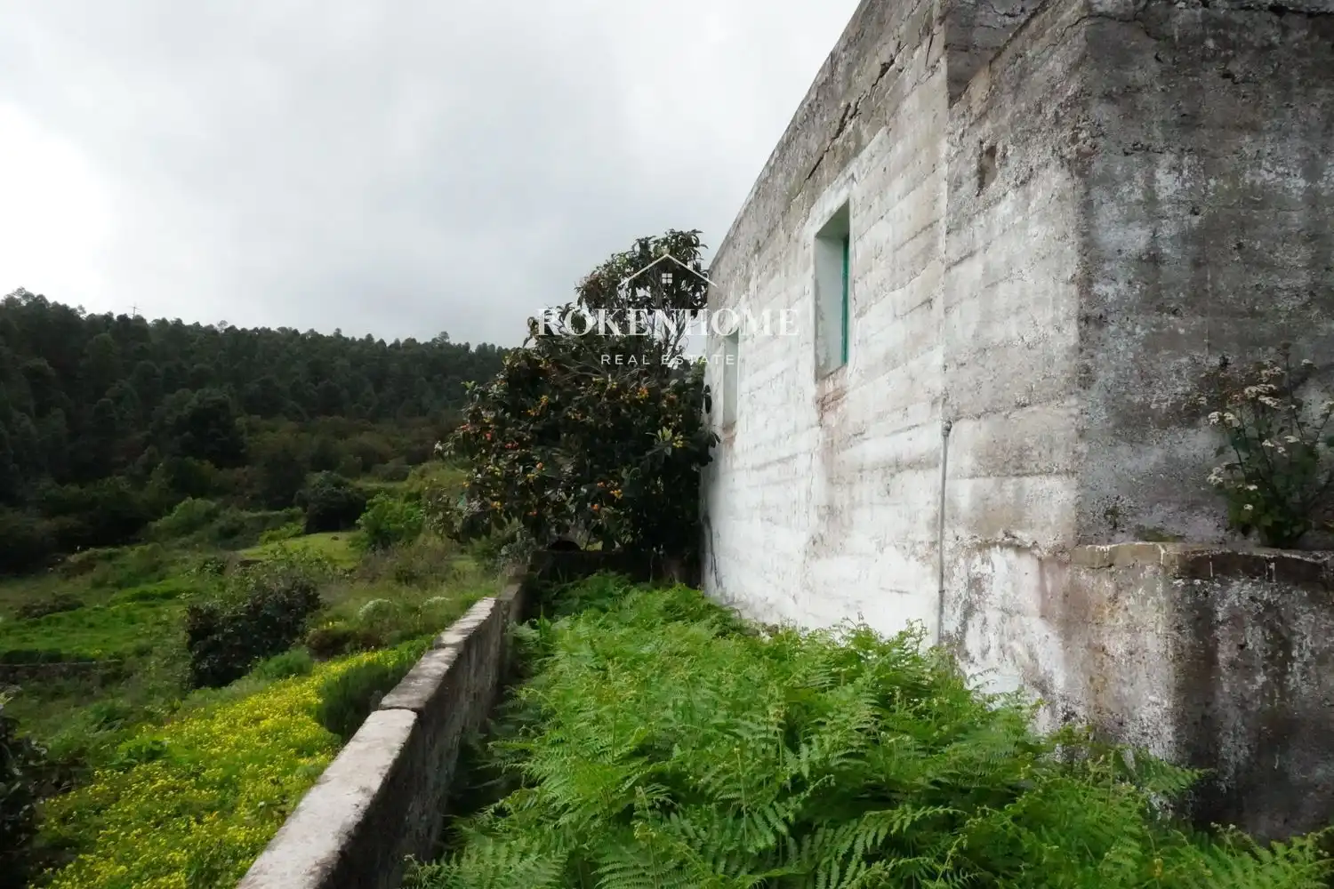 Vista exterior de Casa o chalet en venta en Icod de los Vinos