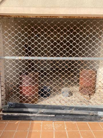 Local comercial en Venta en Camino del Faro, 17 en Cabo de las Huertas