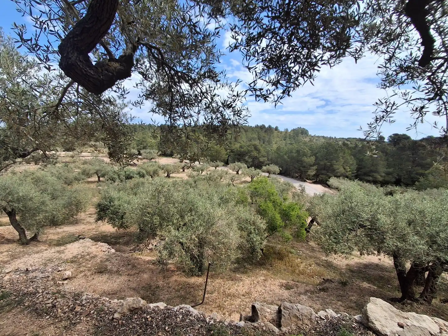 Terreno rustico in vendita a El Perelló, imagen 53