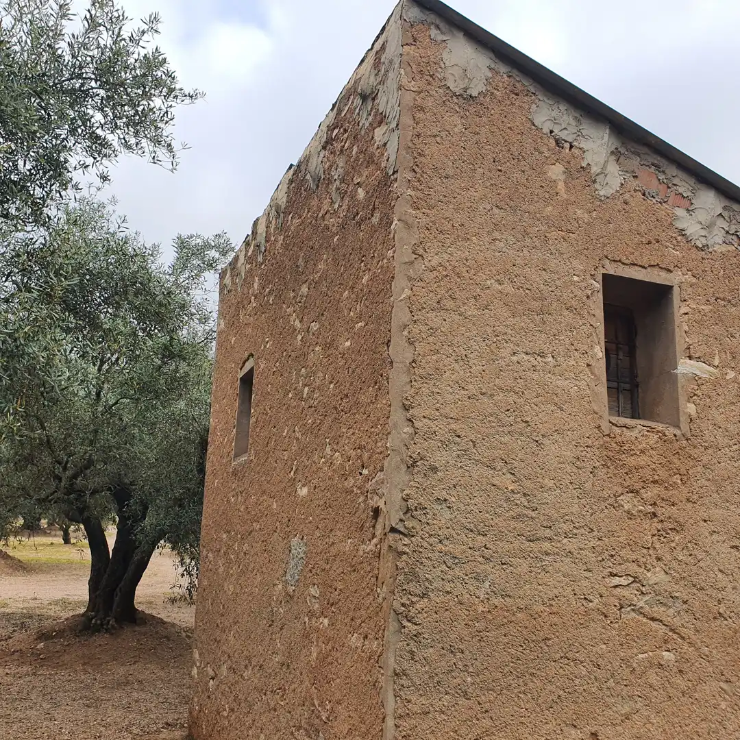 Terrain rustique à vendre à Xerta, imagen 17
