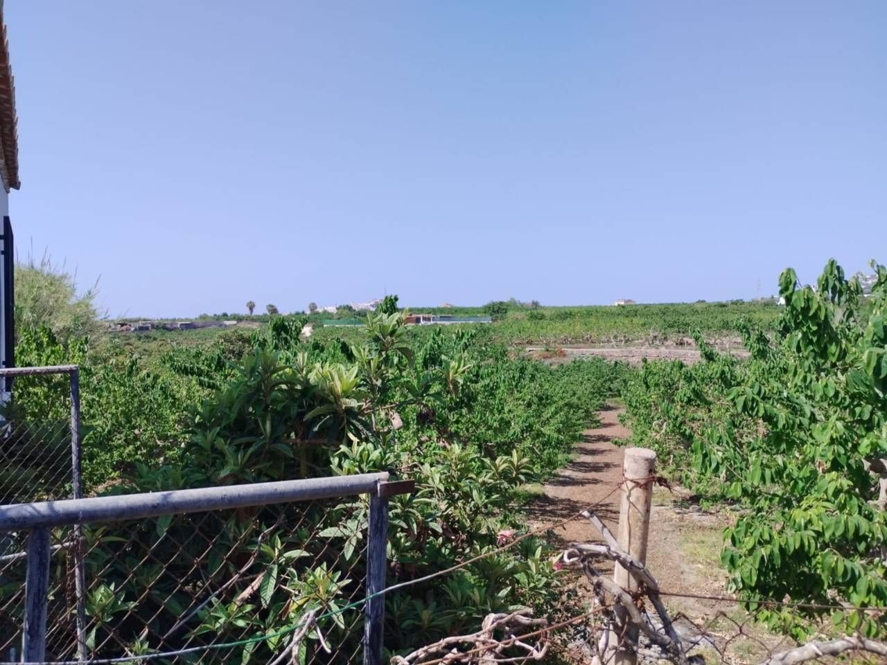 Terreno en venta en Salobreña