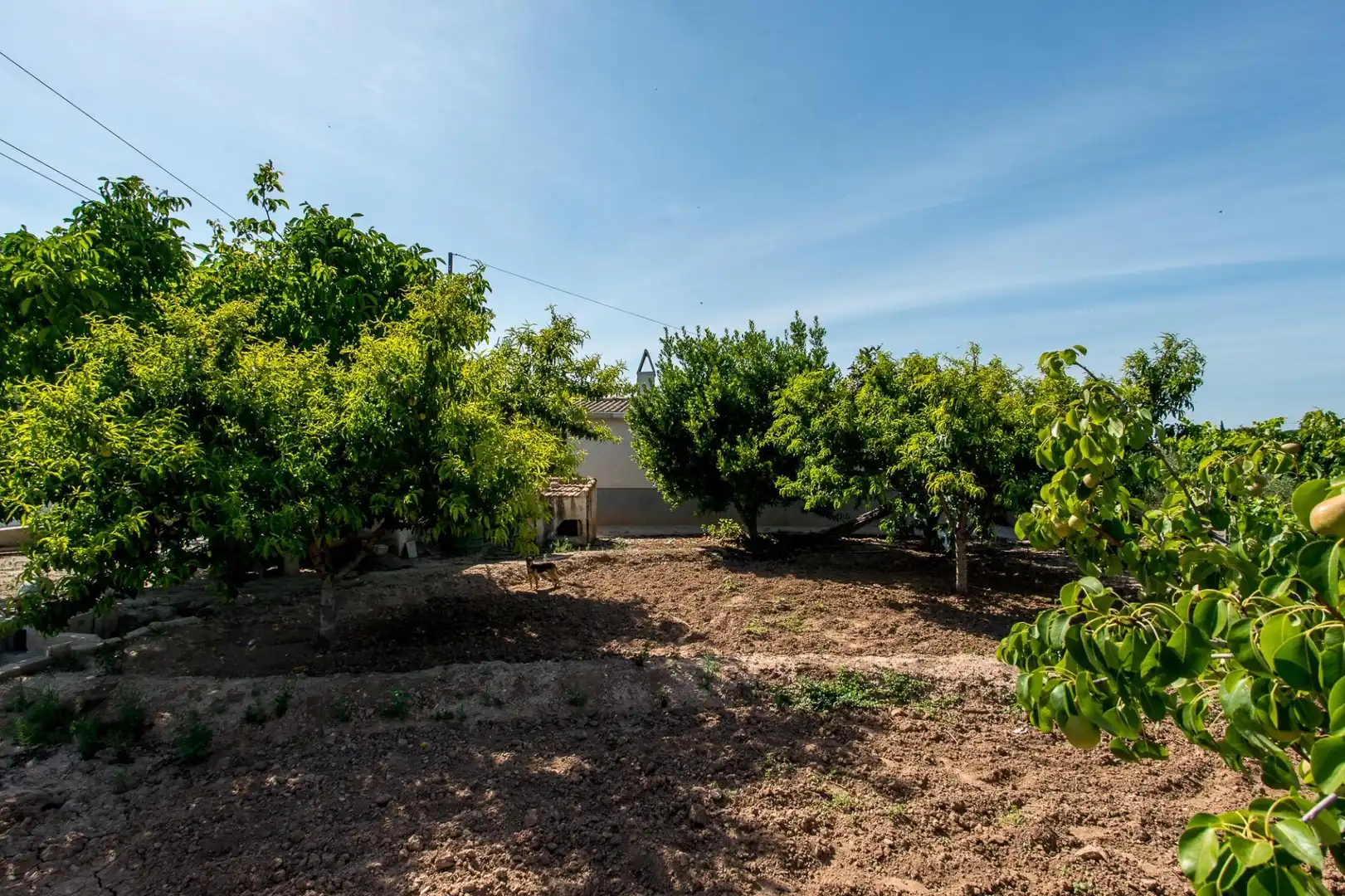 Casa o xalet en venda en Cehegín amb Piscina i Moblat