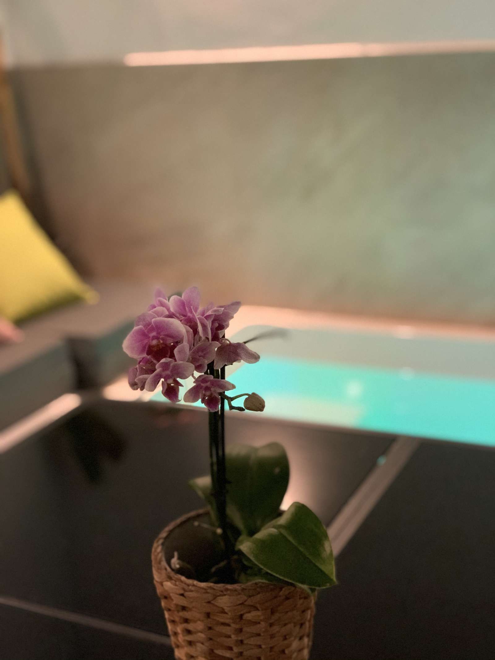 Bany de Apartament per a compartir en Nerja amb Aire condicionat, Calefacció i Terrassa