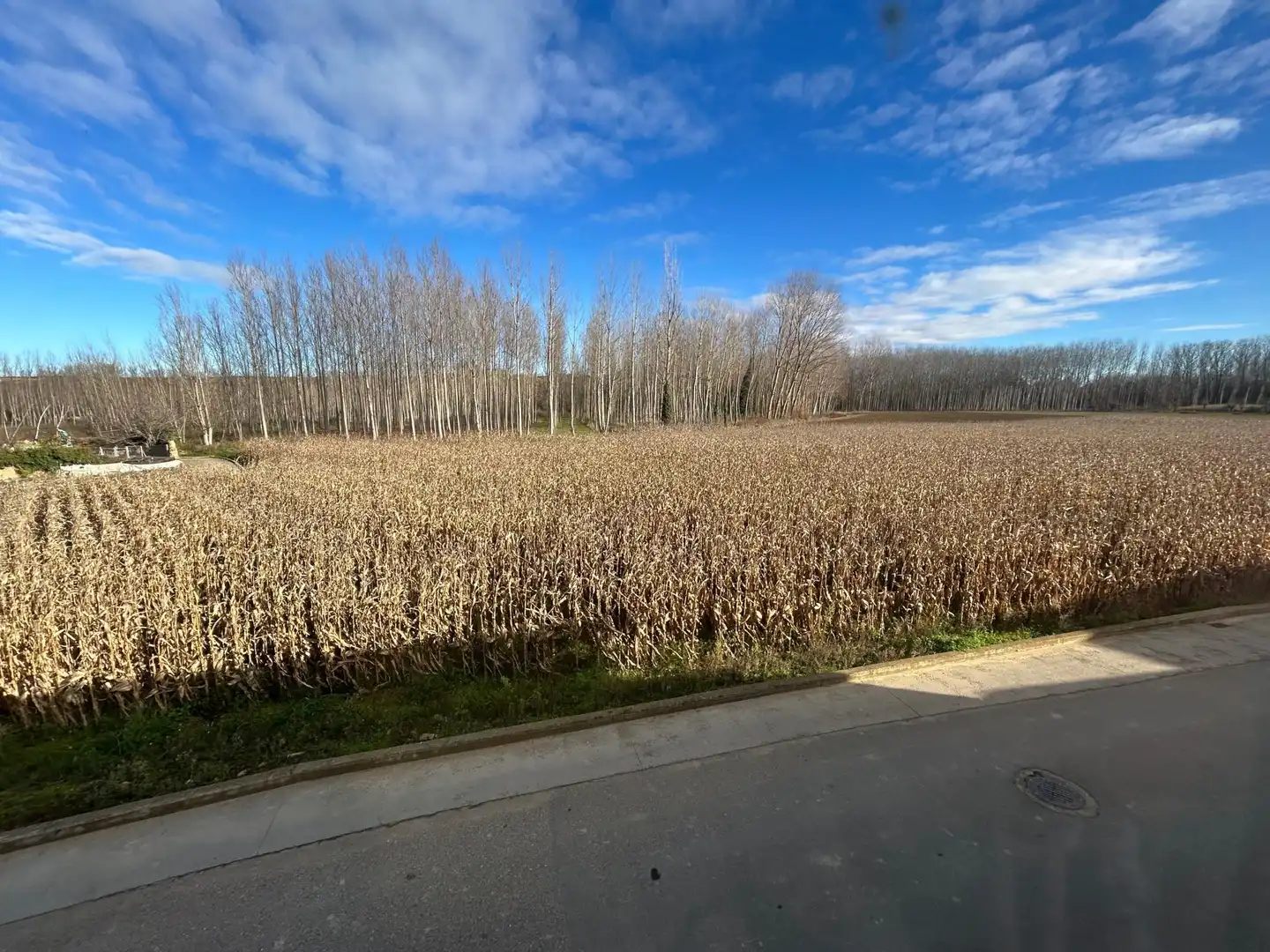 Finca rústica en venta en Riego de la Vega