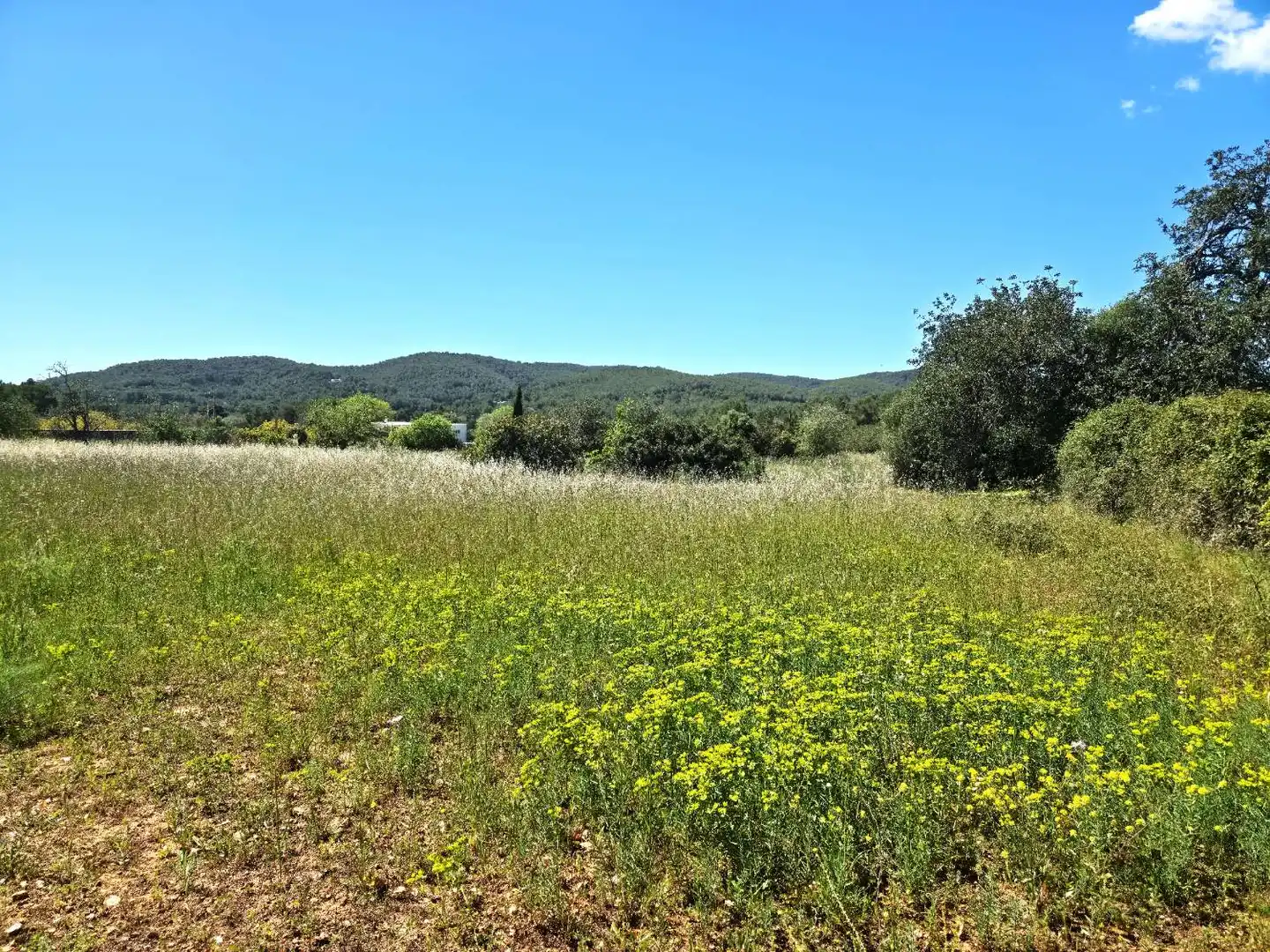 Terrenys i solars en venda a Sant Joan de Labritja, imagen 5