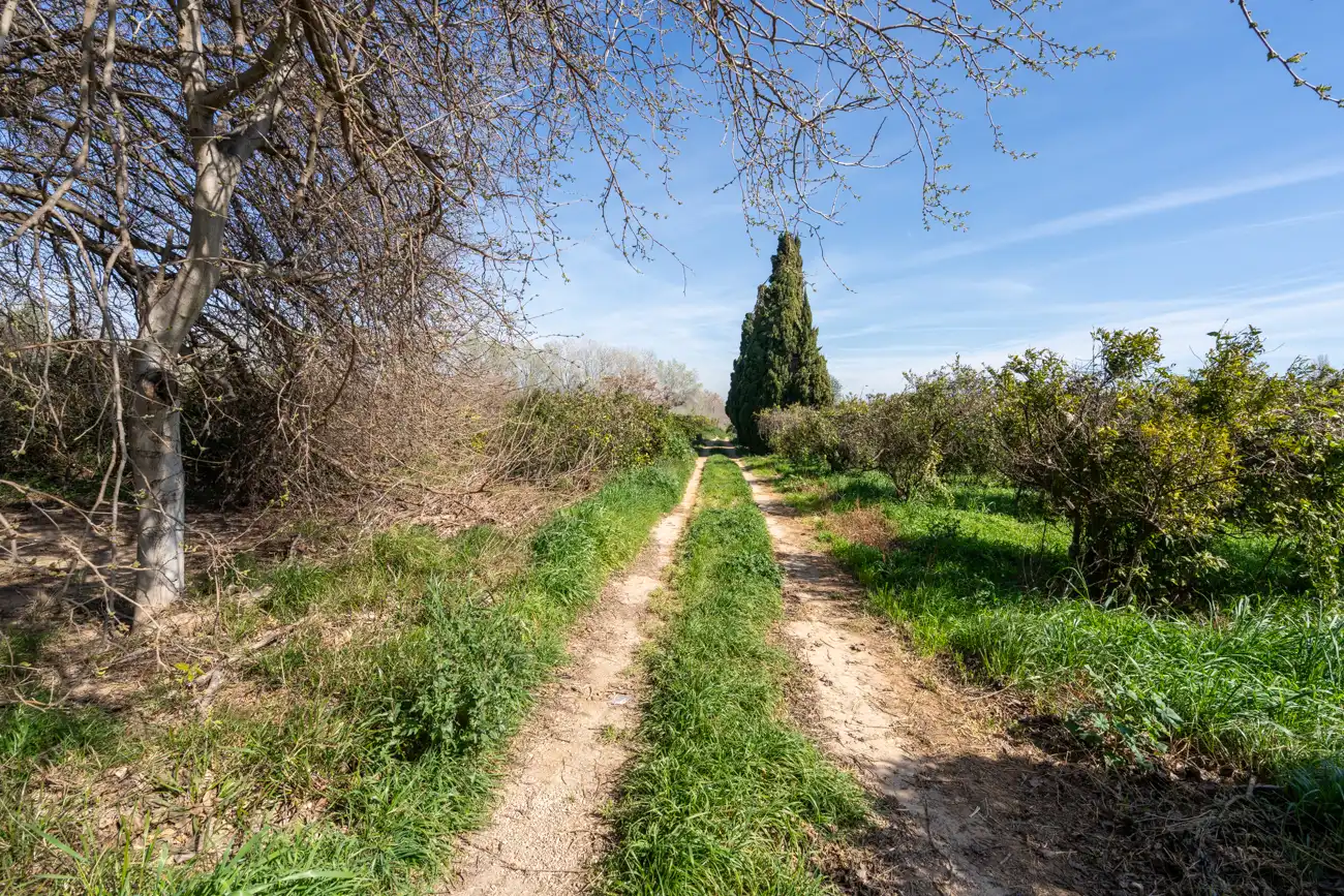 Rural land for sale in Vinallop, imagen 9