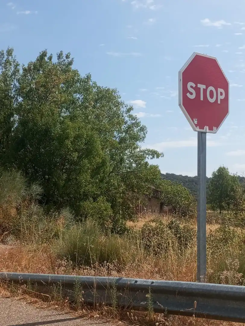 Terreny rústic en venda a Arenas de San Pedro, imagen 4