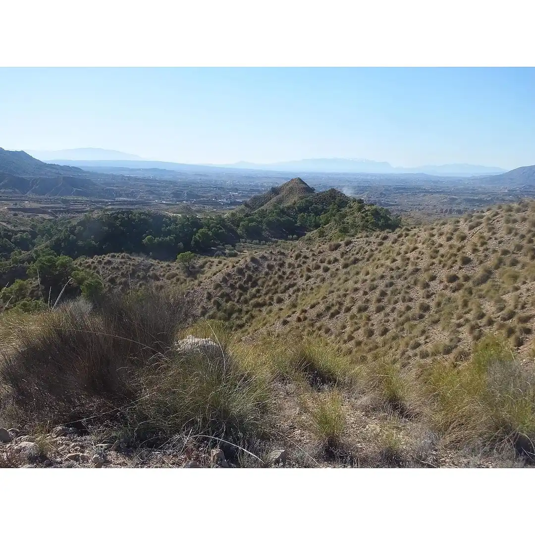 Lands and plots for sale in Abanilla, imagen 7
