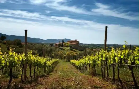 Country house for sale in Garriguella, imagen 16