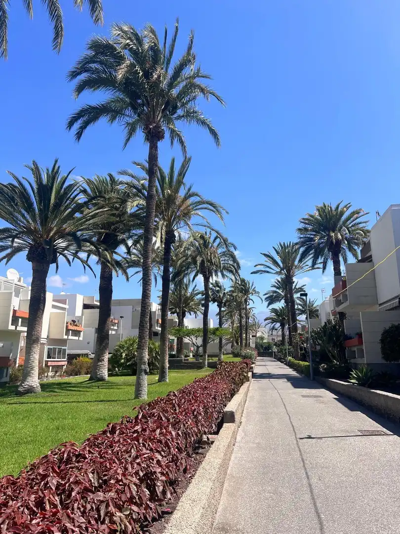 Vista exterior de Apartamento de alquiler en Arona con Jardín privado, Terraza y Amueblado