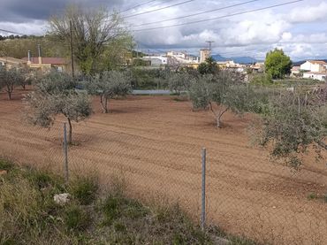 Terrenos y solares en venta en Cehegín