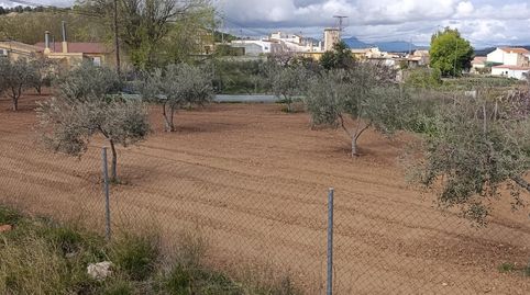 SOLAR DE 1000 METROS CUADRADOS URBANO Y UN TERRENO CERCANO DE 400 METROS CON 26 OLIVERAS