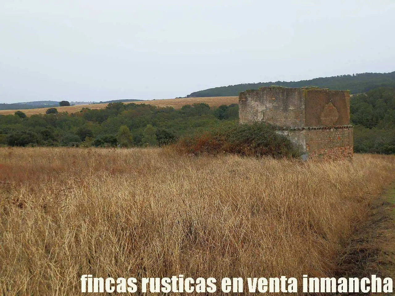 Land for sale in Abenójar