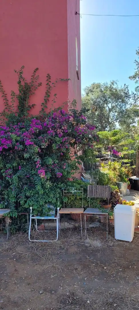 Garden of Houses for sale in Barbate  with Private garden and Terrace