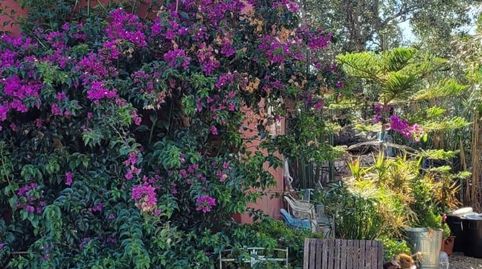 Photo 4 of Houses for sale in Barbate ciudad, Barbate