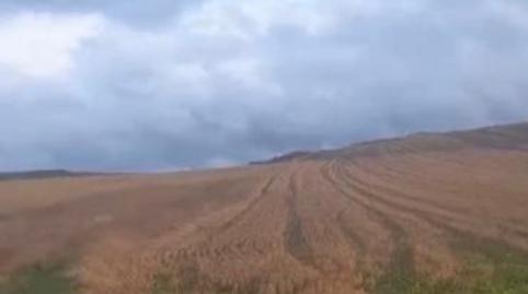 Photo 4 of Land for sale in Rubena, Burgos