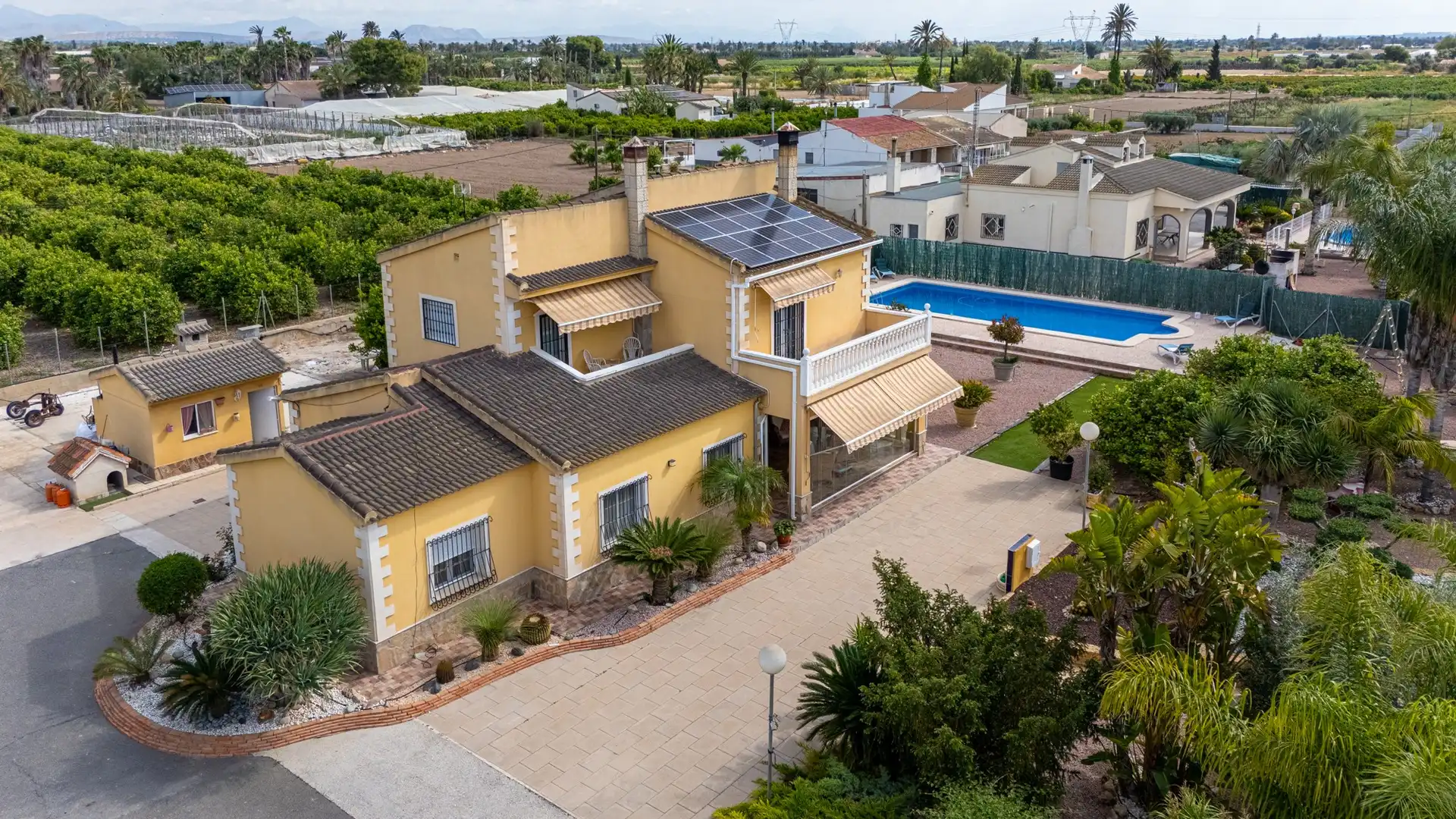 Vista exterior de Casa o chalet en venta en Elche / Elx con Piscina