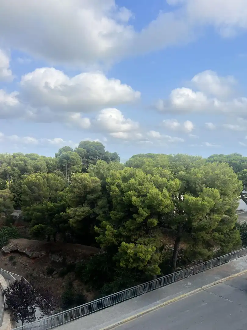 Flat with terrace for sale in El Maset, imagen 4