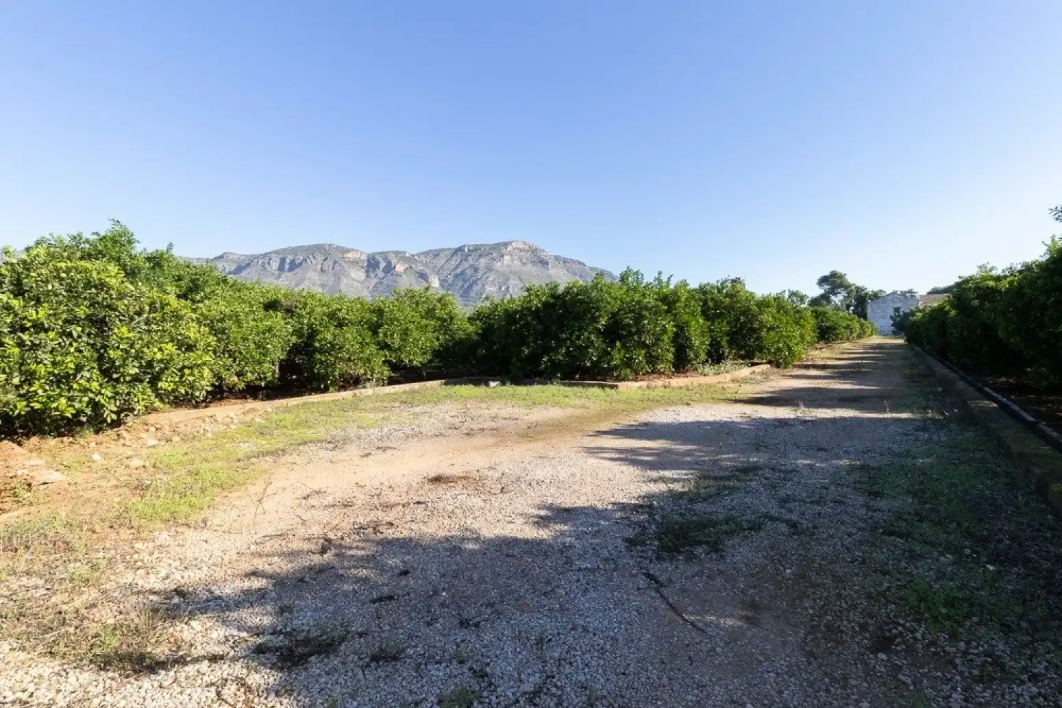 Maison à vendre à Benifairó de la Valldigna - HORTA, imagen 48