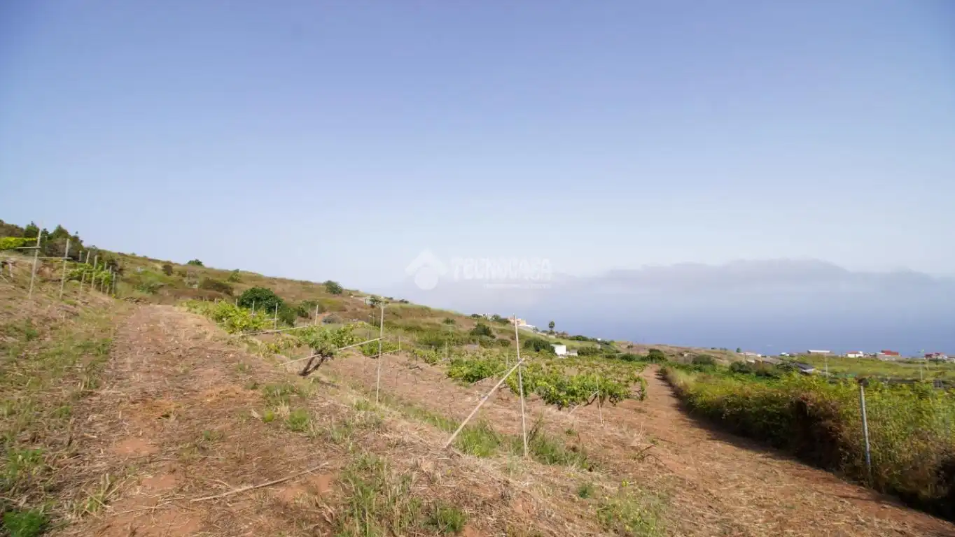 Finca rústica en venta en El Sauzal