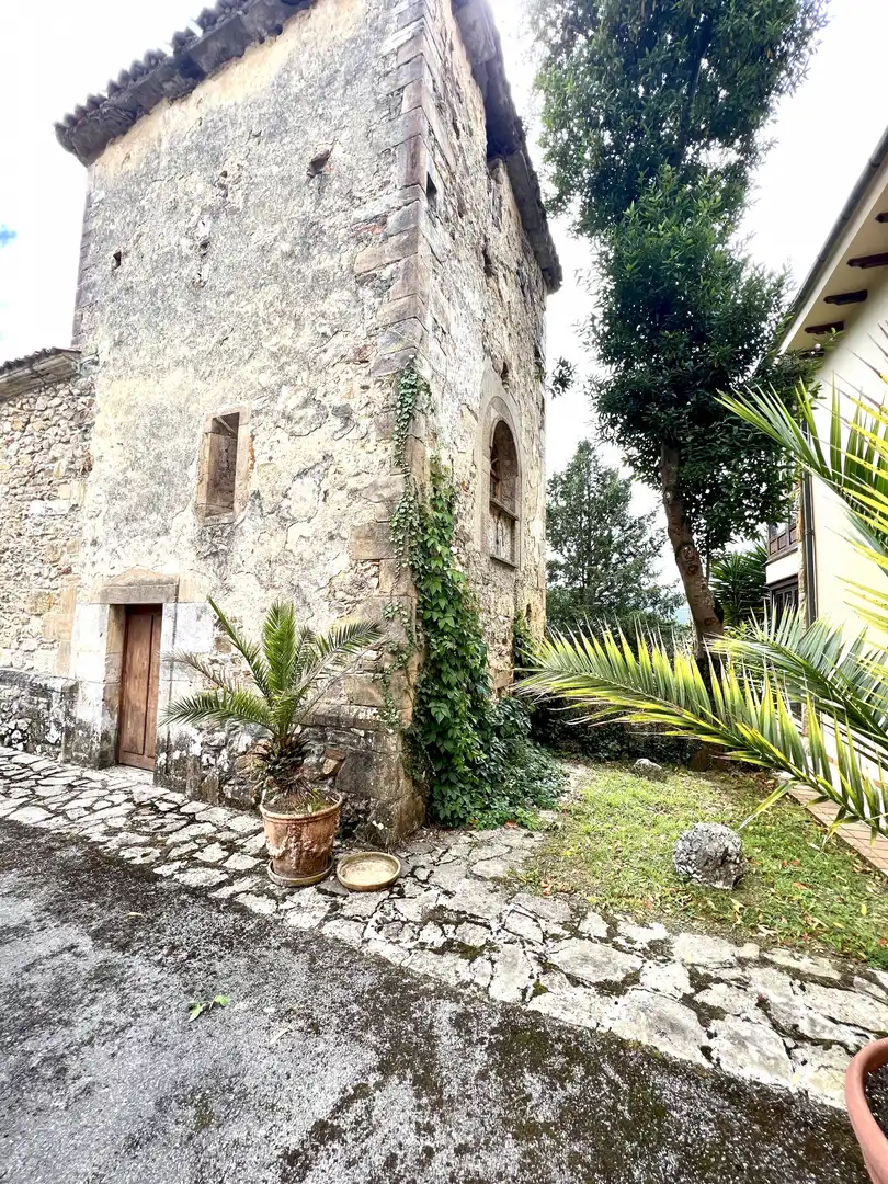 Vista exterior de Casa o chalet en venta en Piloña con Calefacción y Jardín privado