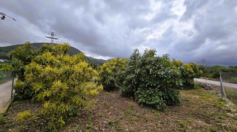 Photo 2 of Residential for sale in Pego, Alicante