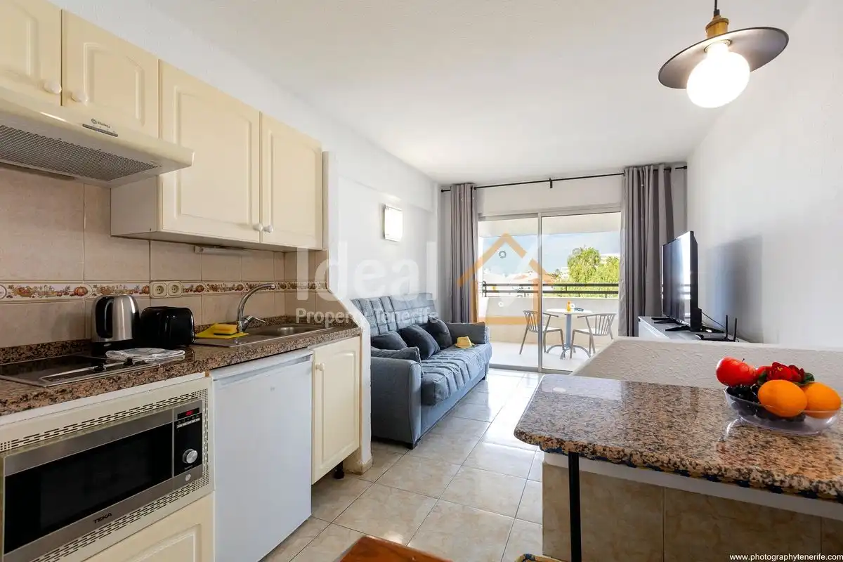Vista exterior de Estudio en venta en Adeje con Aire acondicionado, Terraza y Amueblado