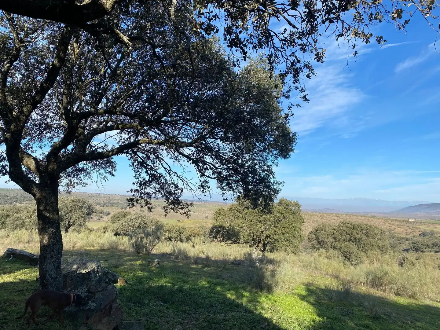 Grundstücke zum Verkauf in La Estrella