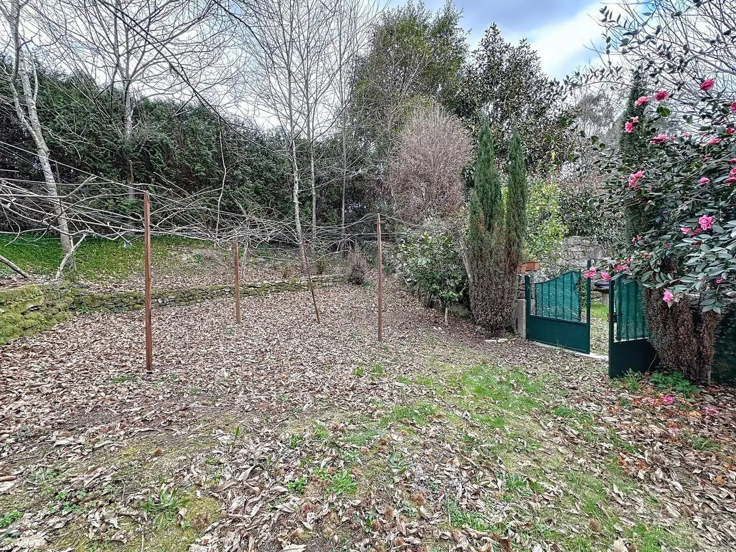 Casa o chalet en venta en Campo Lameiro