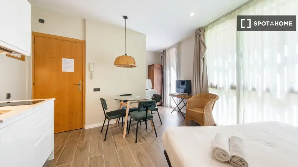 Appartamento con terrazza in affitto a Ciutat Vella, imagen 11