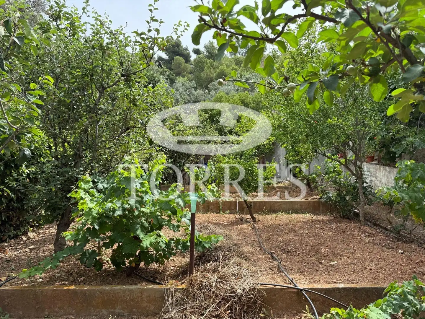 Casa o chalet en venta en Málaga con Terraza, Trastero y Piscina