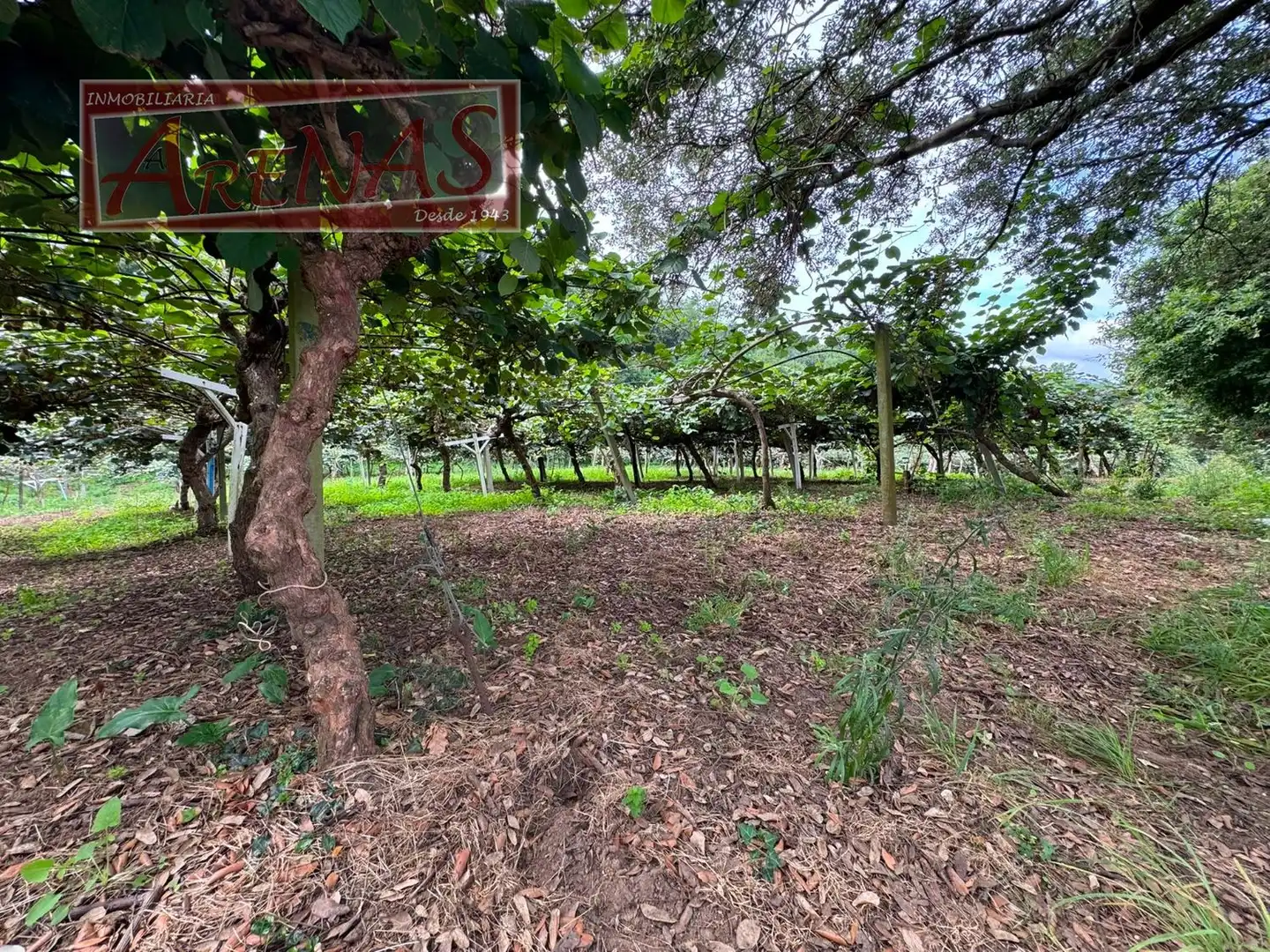 Land for sale in Marina de Cudeyo