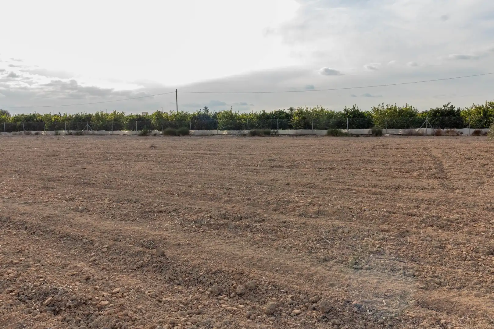 Terreno rústico en venta en Montepinar - La Aparecida - Raiguero, imagen 5