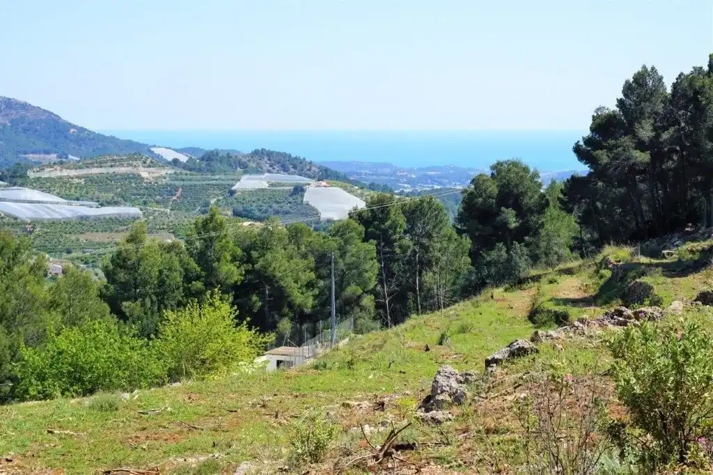 Terreny residencial en venda a Callosa d'en Sarrià, imagen 9