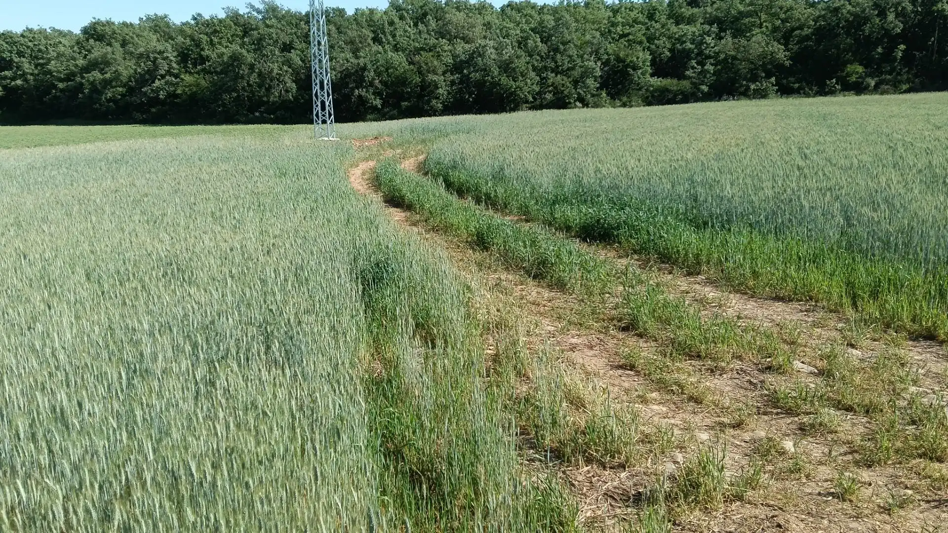 Land for sale in Ibeas de Juarros