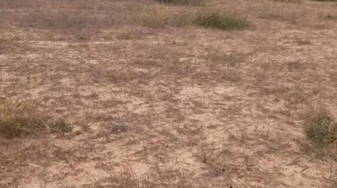 Photo 3 of Residential for sale in Cala Vedella - Cala Tarida, Illes Balears