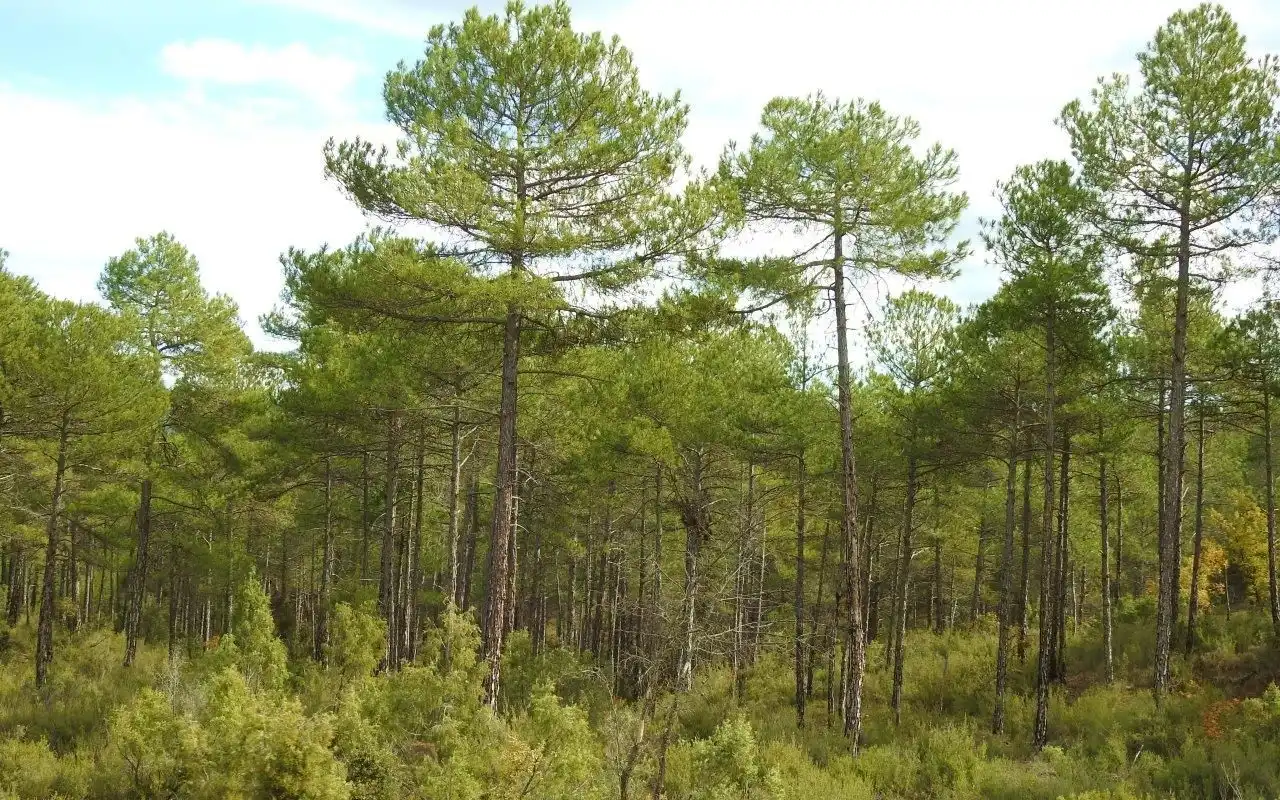 Finca rústica en venda en Villar de Olalla