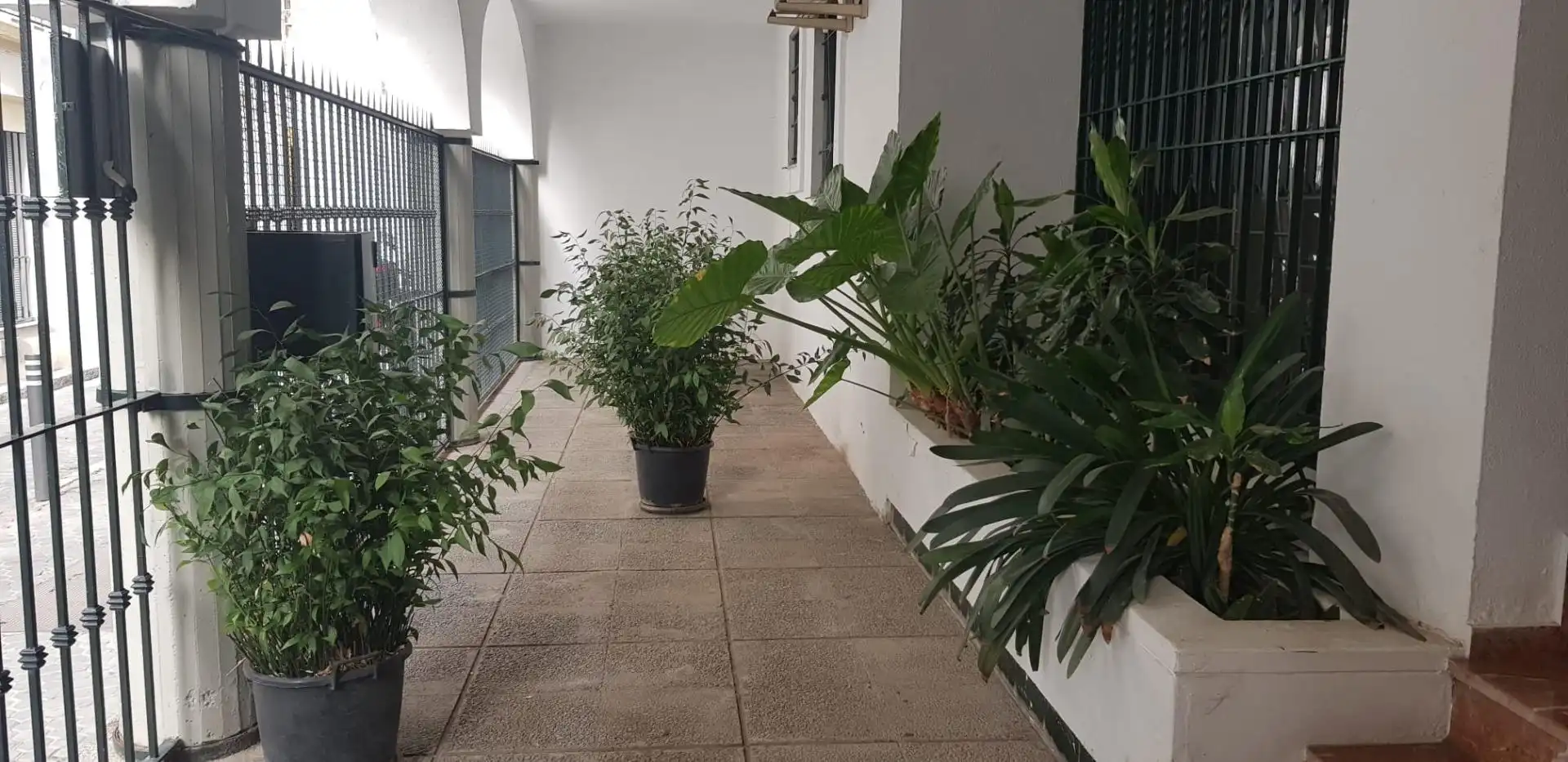 Wohnung zur Miete in Arenal - Museo