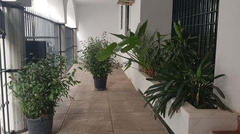 Photo 3 of Flat for rent in Arenal - Museo, Sevilla Capital