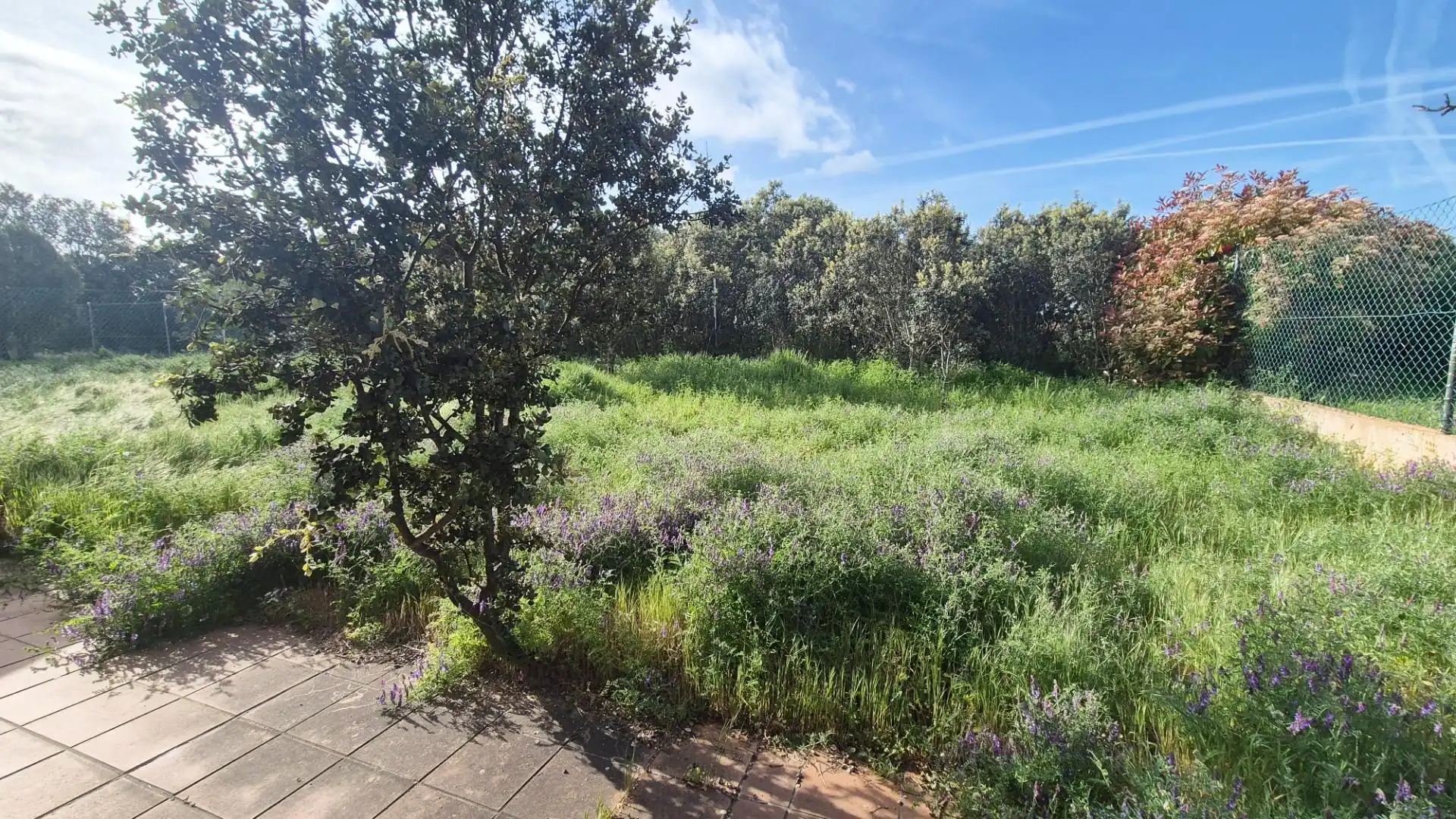 Detached homes for sale in Carrascal de Barregas