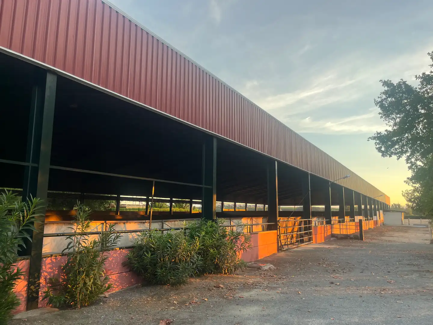 Industrial building for sale in Carretera de Córdoba, imagen 138
